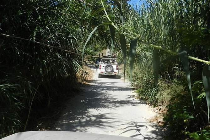 4x4 jeep driving through a bamboo riverbed track in Crete